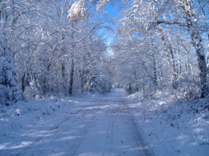 Minnesota Valley Winter RoadRally